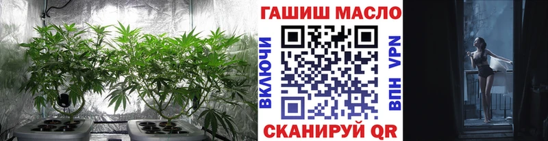 Купить  Киржач  Дистиллят ТГК THC oil 