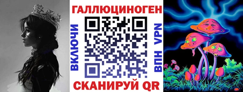 Купить где  Киржач  Галлюциногенные грибы Psilocybe 